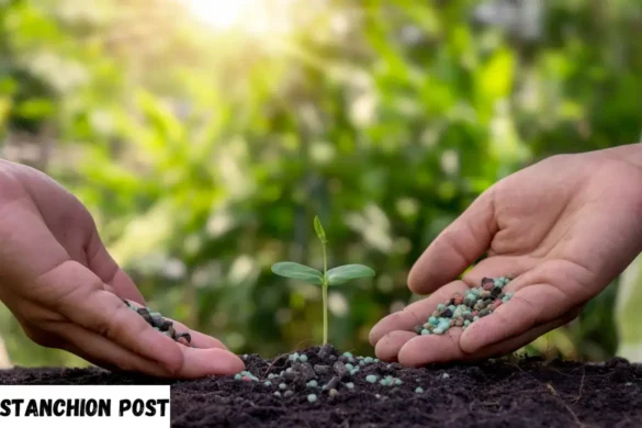 Building Strong Relationships Nurturing Connections That Matter