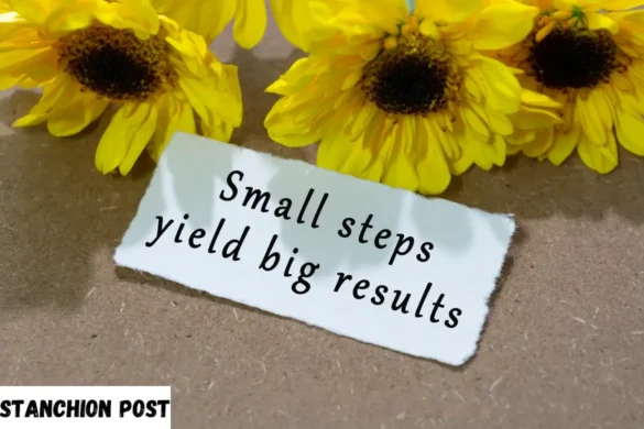 Overcoming Negativity Bias Strategies to Reframe Negative Thoughts