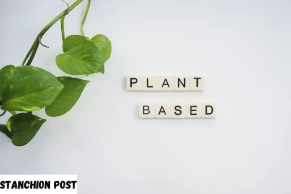 Vegan Delights Plant-Based Recipes for a Healthier Lifestyle