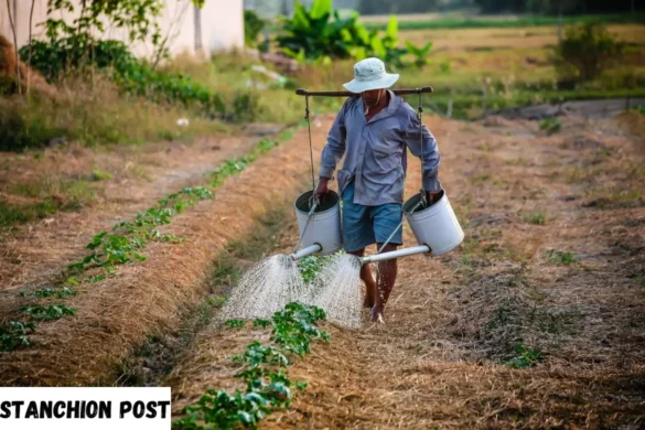 Meet the Farmers Connecting with Local Producers Behind Your Meals